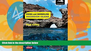 Big Sales  Diving and Snorkelling Ascension Island: Guide to a Marine Life Paradise  Premium