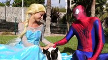Человек-паук замороженное Эльза против - Cобаки Поцелуй кино супергероя в реальной жизни!