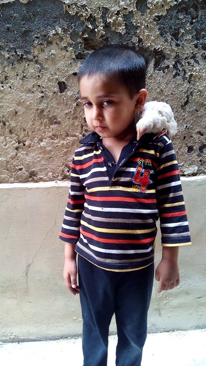 kid tricks with chick