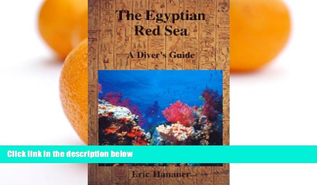 Big Sales  The Egyptian Red Sea: A Diver s Guide  Premium Ebooks Best Seller in USA