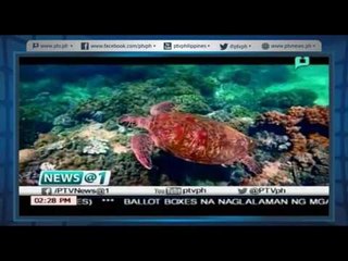 [News@1] Pangangalaga sa Likas na Yaman ng Pilipinas [05|24|16]