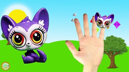 Littlest Pet Finger Family - Nursery Rhymes Finger Family Song