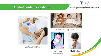 galaxs tiens_ khasiat _ keunggulan _ galaxs tiens obat kuat herbal