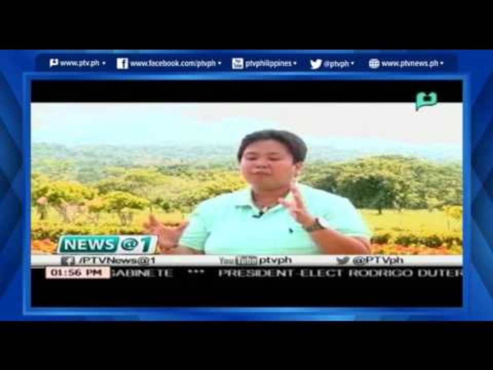 [News@1] Isang Mechanical Bug Remover, inimbento ng isang Pinoy [06|1|16]