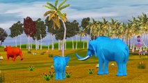 Colors Godzilla Finger Family Nursery Rhymes Compilation | Colors Lion Elephant Finger Family Rhymes