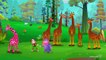 Animal Finger Family song best Urdu Hindi poems for kids  3D Animation Nursery Rhymes & kids Songs N
