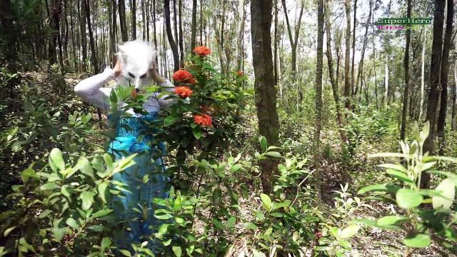 Spiderman vs Venom becomes Wolfman w/ Catwoman Elsa Wolfman Funny Superhero movie IRL