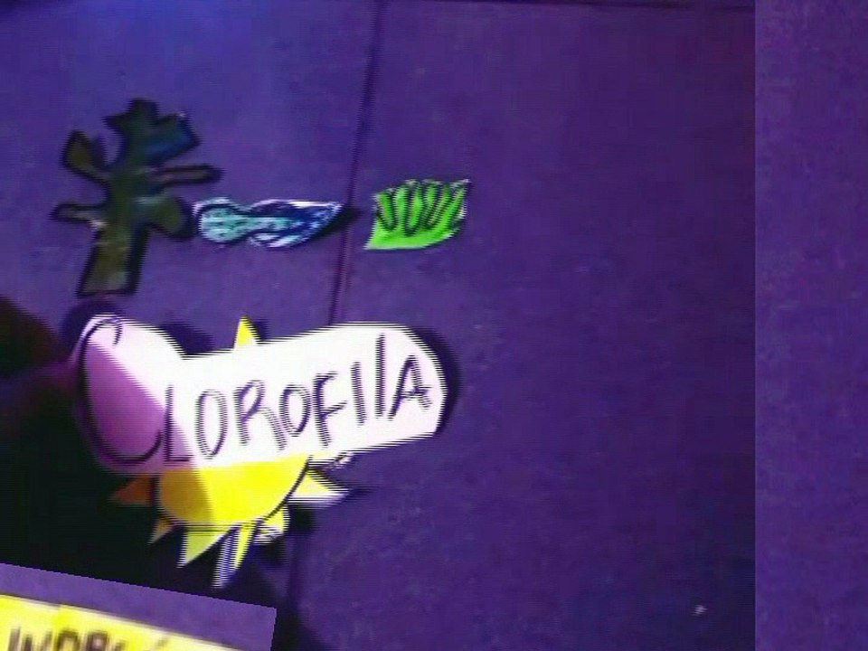 Excelente video de la Fotosíntesis de Giuli, Agus, Valen, Luisana y Zahira.