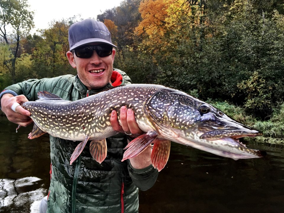 Hook Shots: Muskie Fly Dreaming (Again)