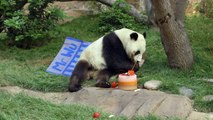 Panda Party! Xiao Liwu Celebrates 4th Birthday