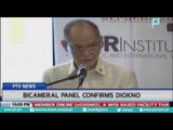 Bicameral panel confirms Diokno