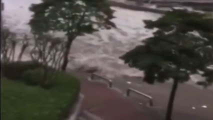The sea is going mad - WTF! compilation