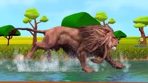 Lion Vs Tiger And Lion Vs King Kong Cartoons for Children Finger Family Children Nursery Rhymes