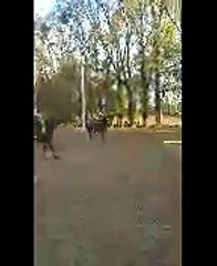 3 entrainement oct 2016