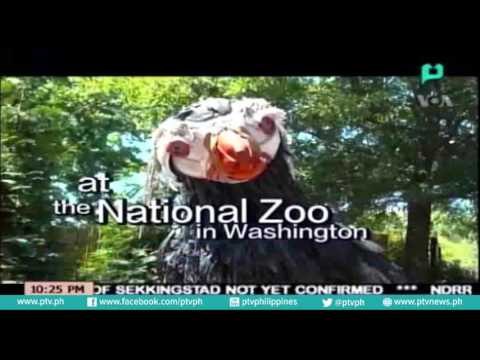 [NewsLife] 'Washed ashore' turning ocean trash into art [07|05|16]