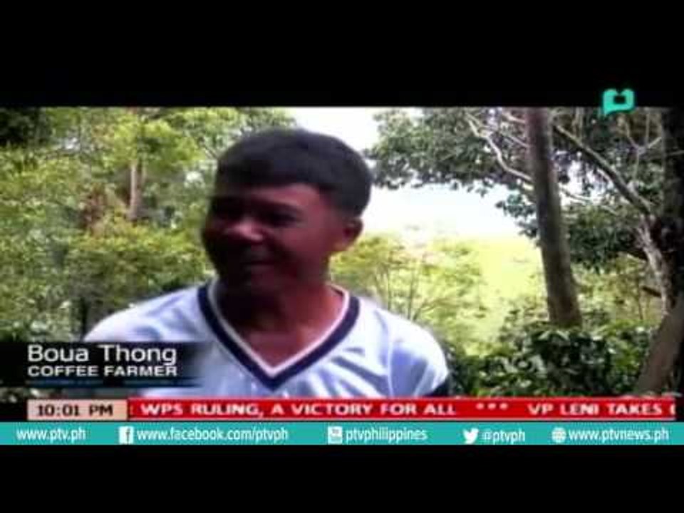 [PTVNews 9pm] Growing coffee in Laos Highlands,...