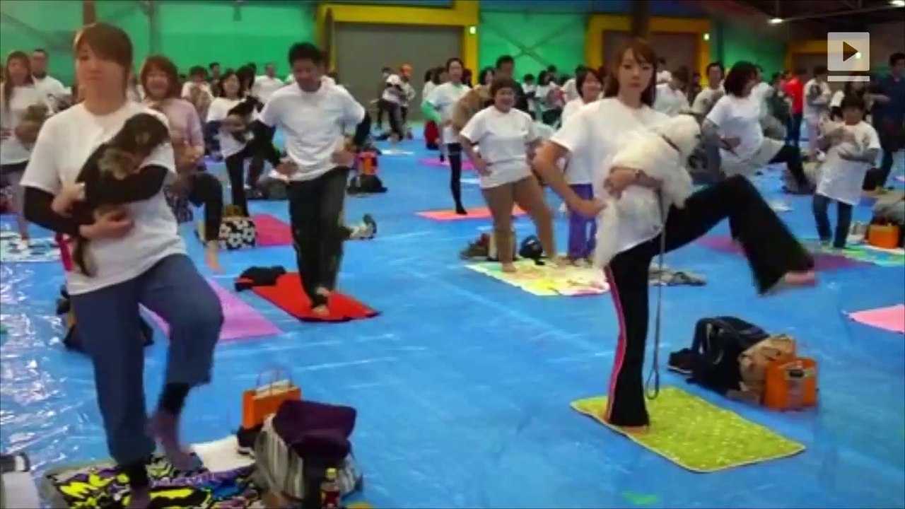 Dog yoga record broken in Japan