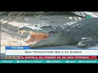 [PTVNews] Mga produktong mula sa buwaya [07|28|16]