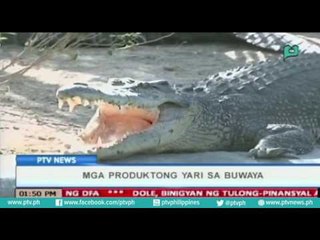 [PTVNews] Mga produktong yari sa buwaya  [07|28|16]