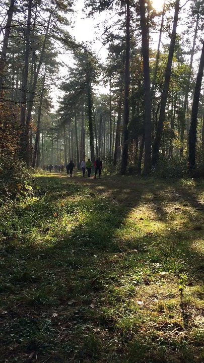 Séance marche nordique (Novembre 2016) Vite / relâché / vite (en côte)