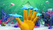 Dolphin Finger Family Rhymes | Sharks Twinkle Twinkle Little Star Nursery Rhymes And Sea Animals