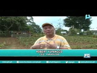 [Good Morning Pilipinas] Special Feature: 4th Farm Tourism Conference sa Cavite