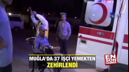 Muğla'da 37 işçi yemekten zehirlendi