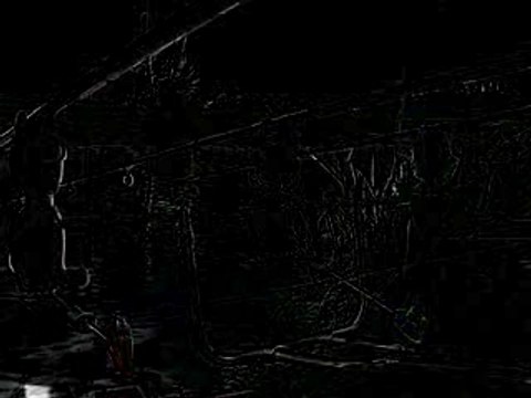 Dias Pêche Team Fishing Carpes