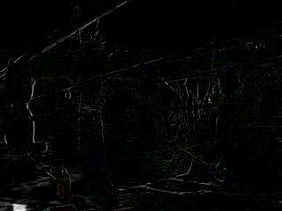 Dias Pêche Team Fishing Carpes