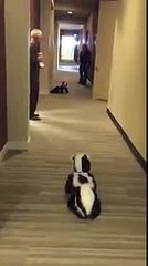 Bé dễ thương quá 1v