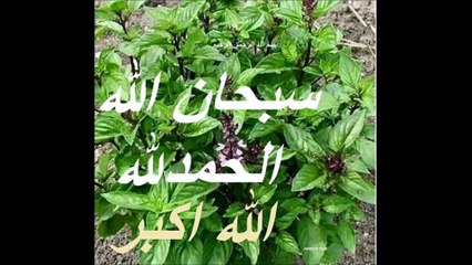 سبحان اللہ الحمدللہ اللہ اکبر   زکر اللہ