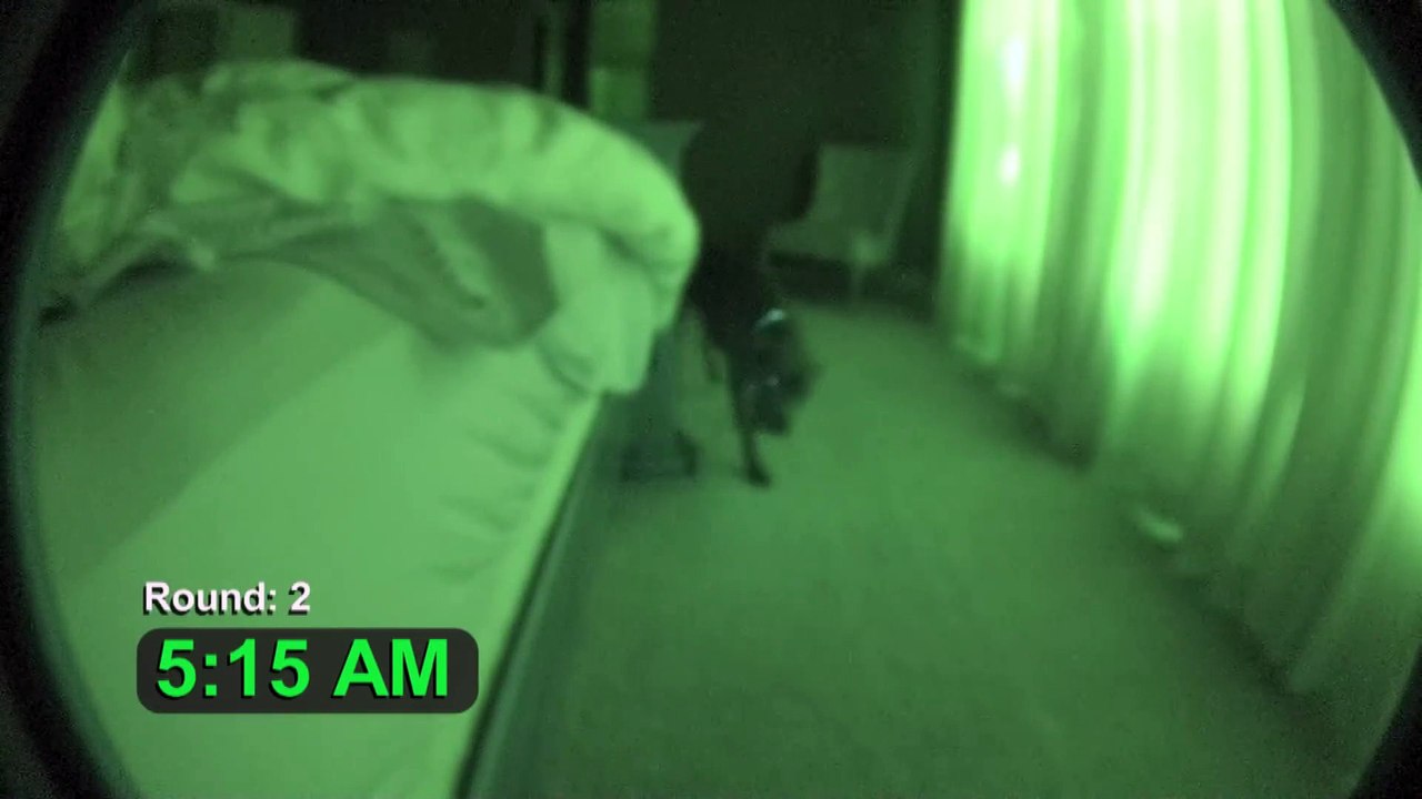 Ses amis ne le croient pas que son chien fait ça à toutes les nuits, puis il installe cette caméra cachée et ....