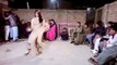 Aisa Dance ap ne Pehle nai Dekha ho ga - Punjabi Girl Dance on Marriage 2017