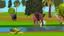 Elephant Vs Rhino Cartoons Fighting And Singing Finger Family Nursery Rhymes For Children
