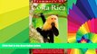 Must Have  Frommer s 99 Costa Rica (Frommer s Costa Rica)  Full Ebook