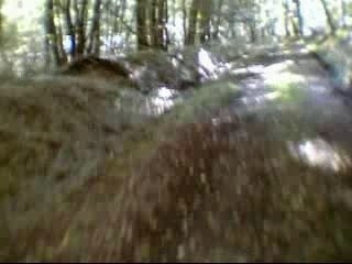 Sortie VTT en forêt de Mouliére (partie2)