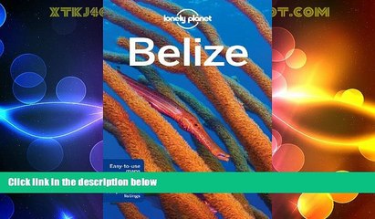 Big Sales  Lonely Planet Belize (Travel Guide)  Premium Ebooks Best Seller in USA