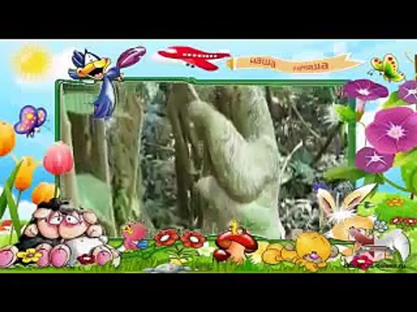 Дикие животные развивающий мультик для детей