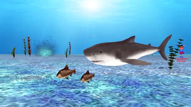 Finger Family Rhymes Sharks Cartoons for Children | Shark Finger Family Children Nursery Rhymes 3D