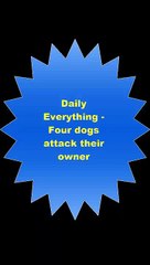 Daily Everything Four dogs attack their owner