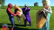 SPIDERMAN vs Frozen Elsa SUMO BATTLE SUMO Spiderman vs SUMO Joker Funny Superhereo Video Spiderman