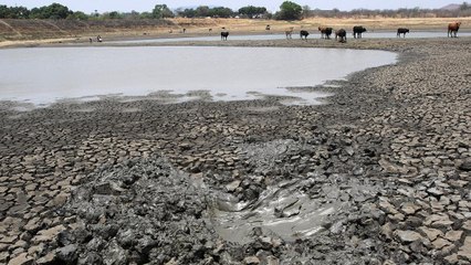 COP22 debate Trump e novo recorde de temperaturas em 2016