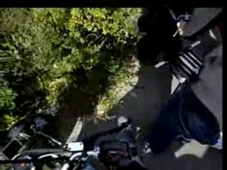 Honda Zoomer Tour #2