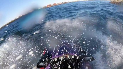 Une vache s'échappe à la nage ! Suivie par un Jet Ski LOL !