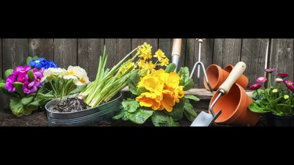 Garden Creations By Mike    (269) 782-6990