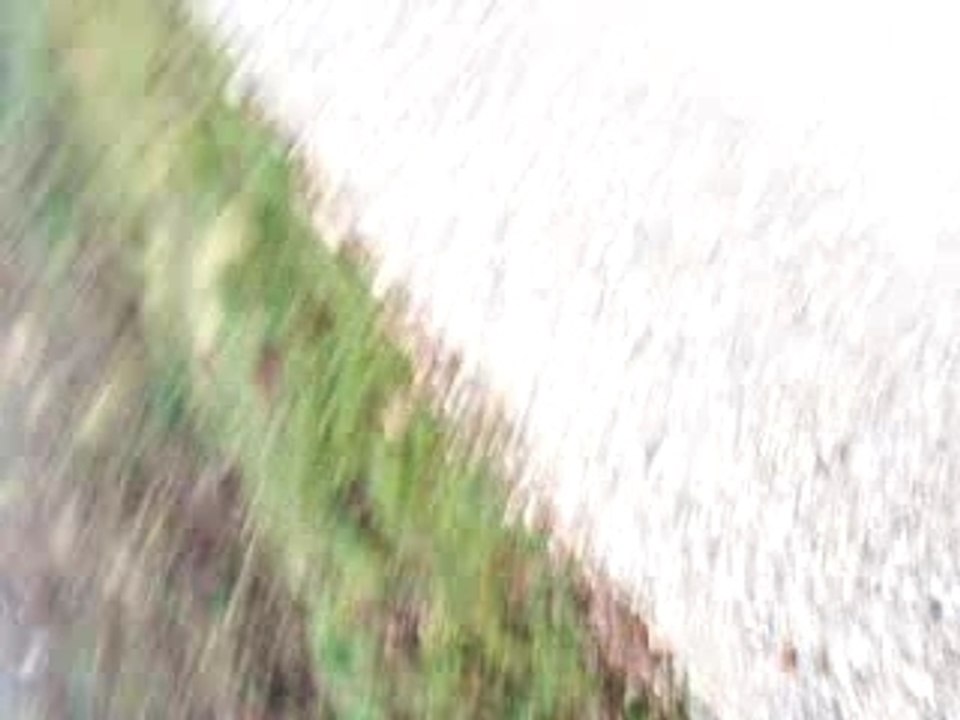 Kart en folie