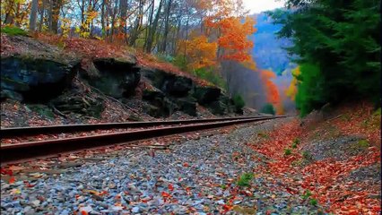 للمنشد محمد السلمان | Peaceful nasheed | Ya hul waha