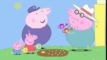 Peppa Pig Season 4 Episode 12 in English - Peppa and Georges Garden