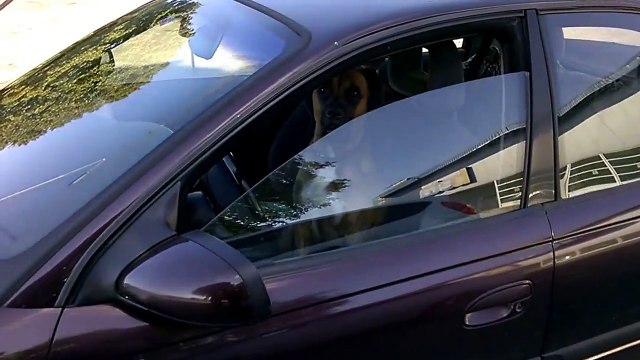 Водитель не в адеквате)))