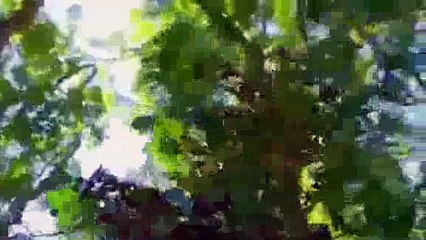 The Sparticle Mystery S01E08 The Unsuitables